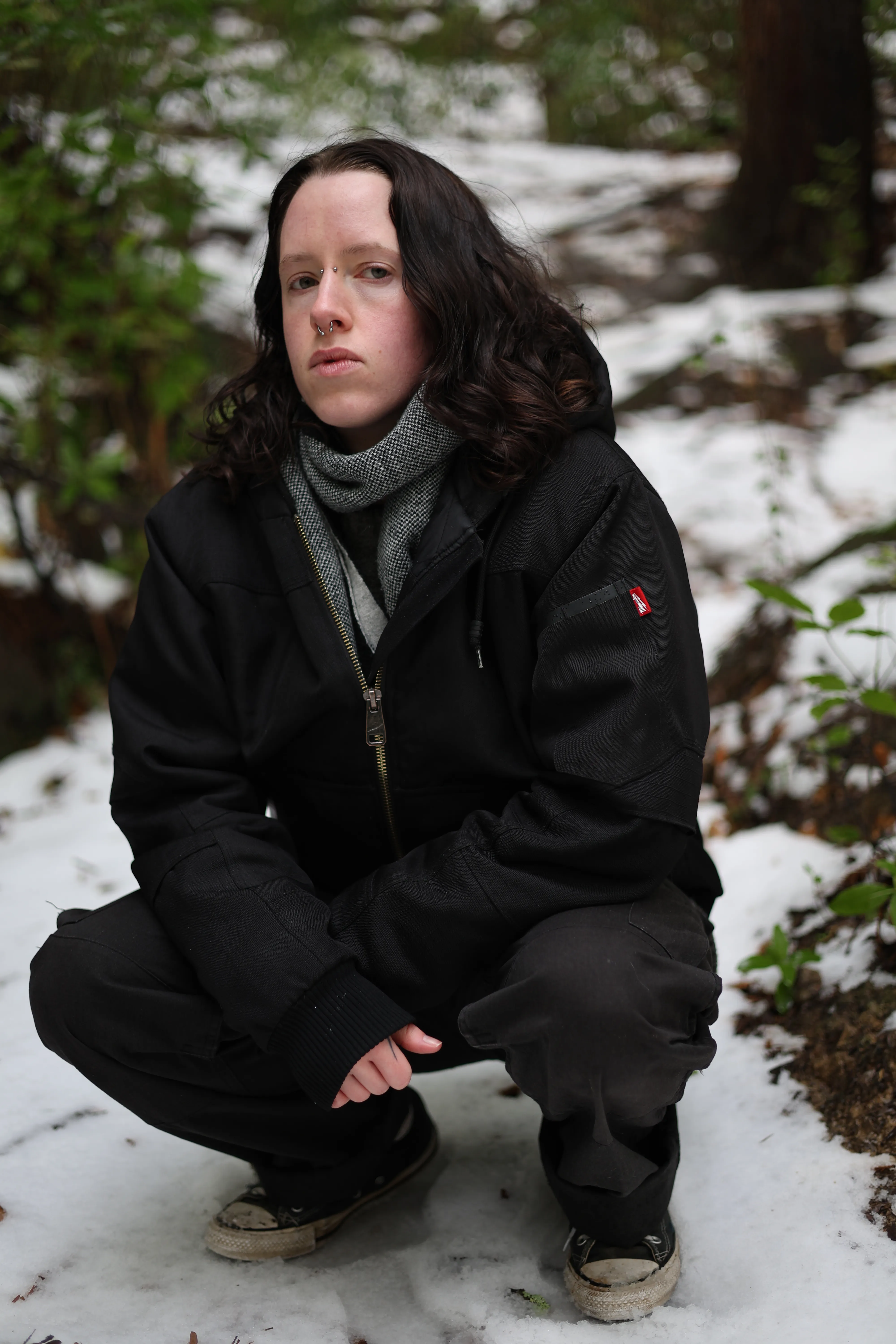 Haven crouches for a portrait beside a snow-covered forest trail