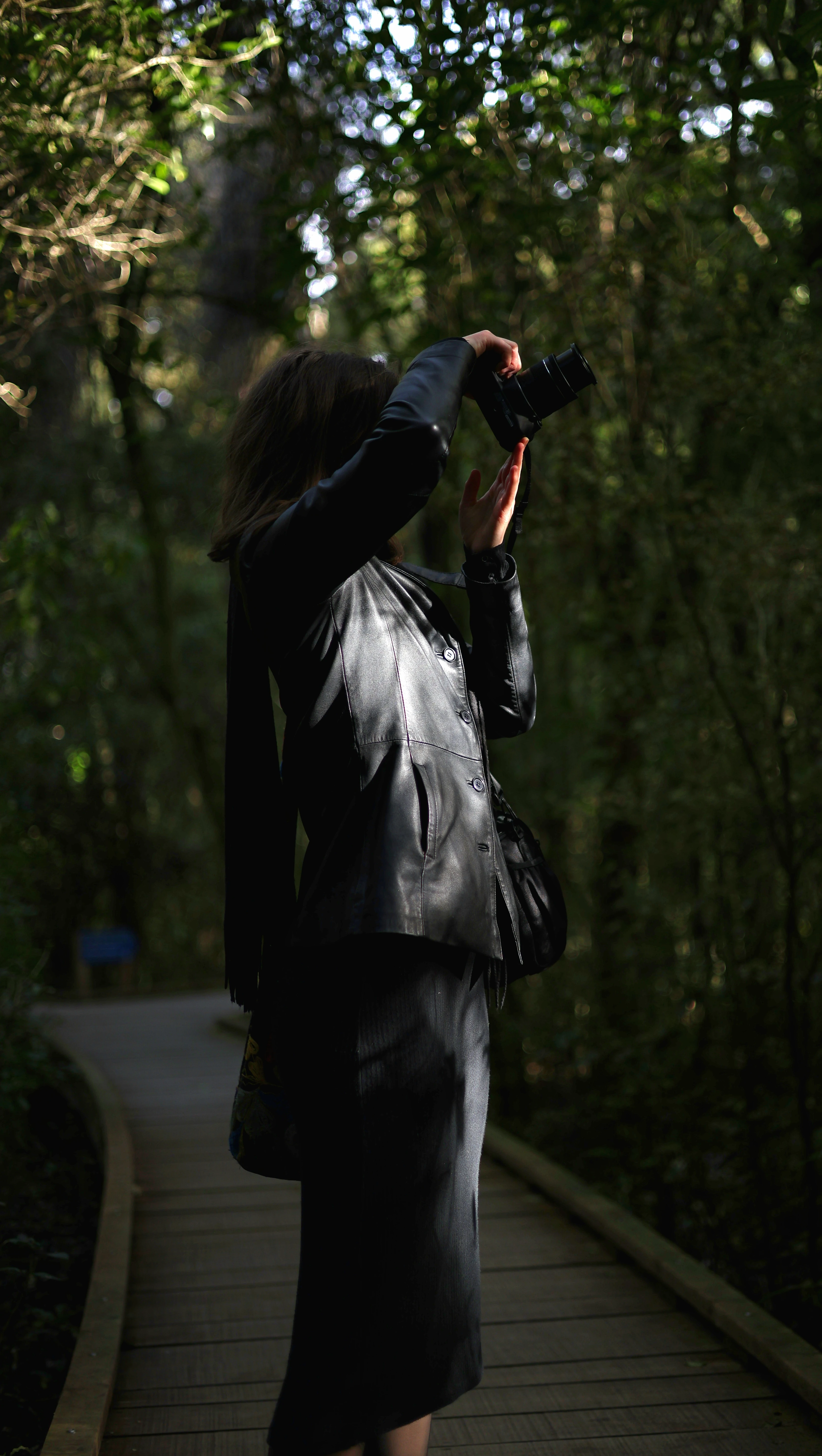 Norma raises her camera towards the forest canopy from a wooden path