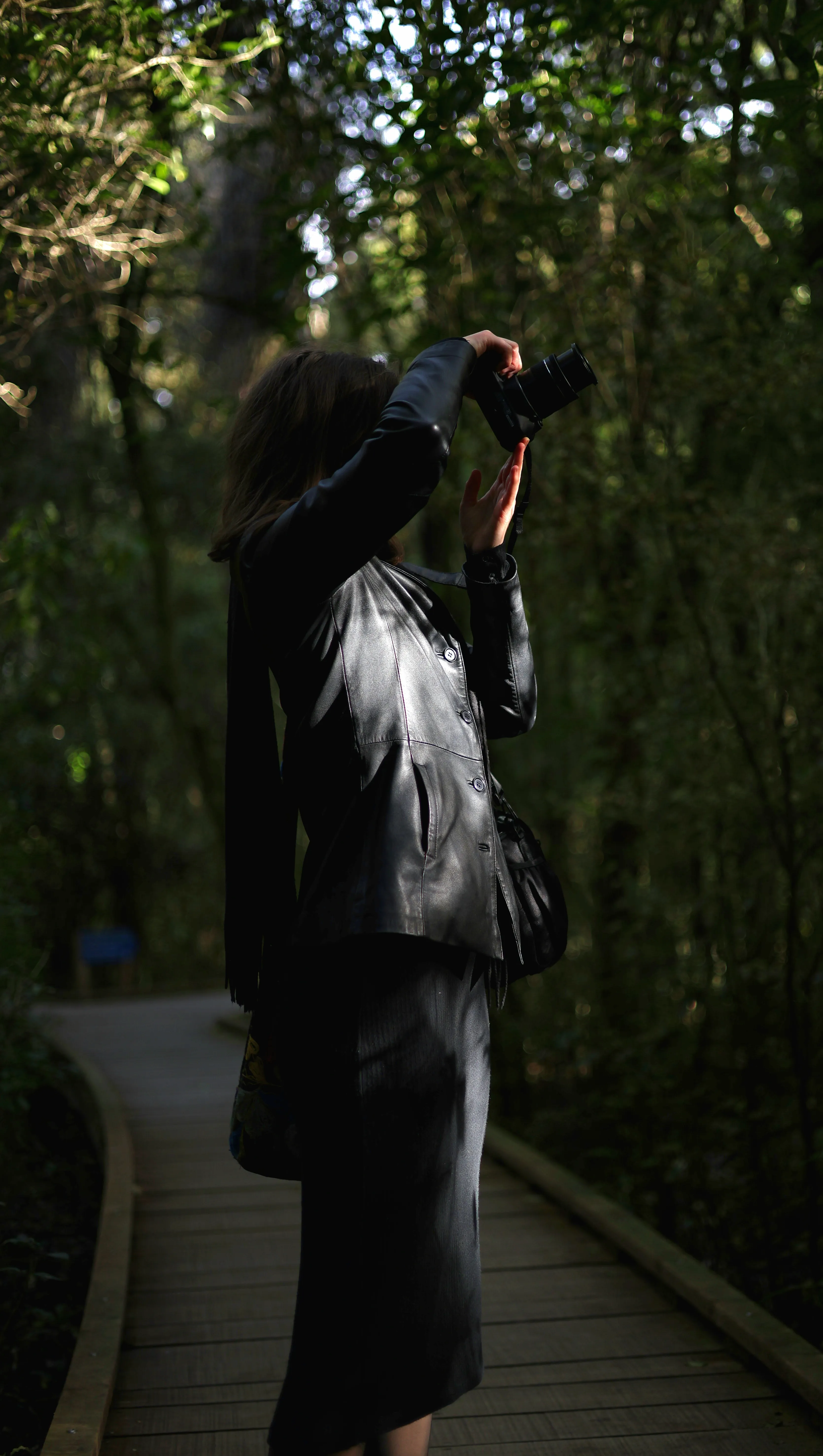 Norma raises her camera towards the forest canopy from a wooden path