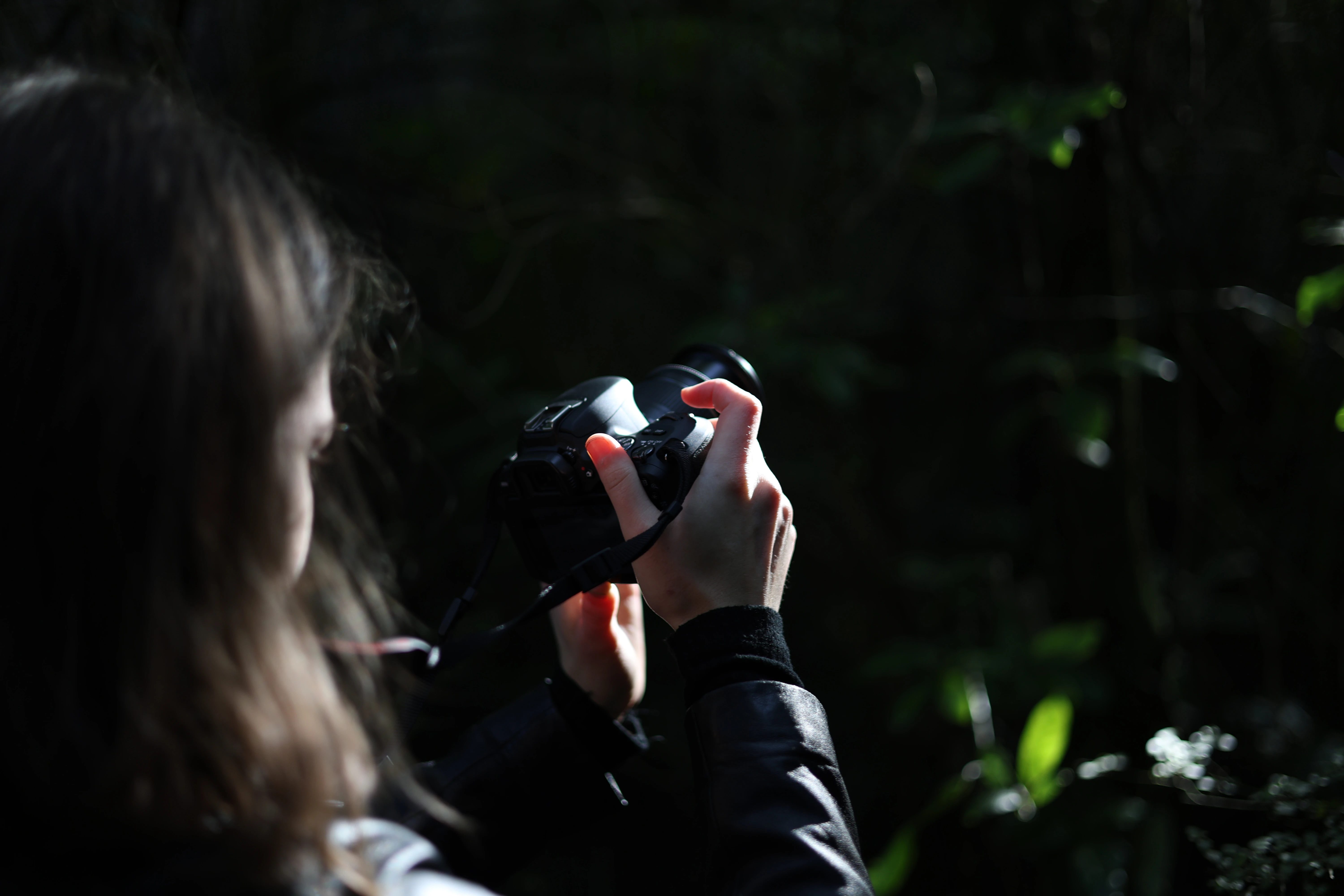Norma holds her camera in a patch of sunlight while photographing the forest