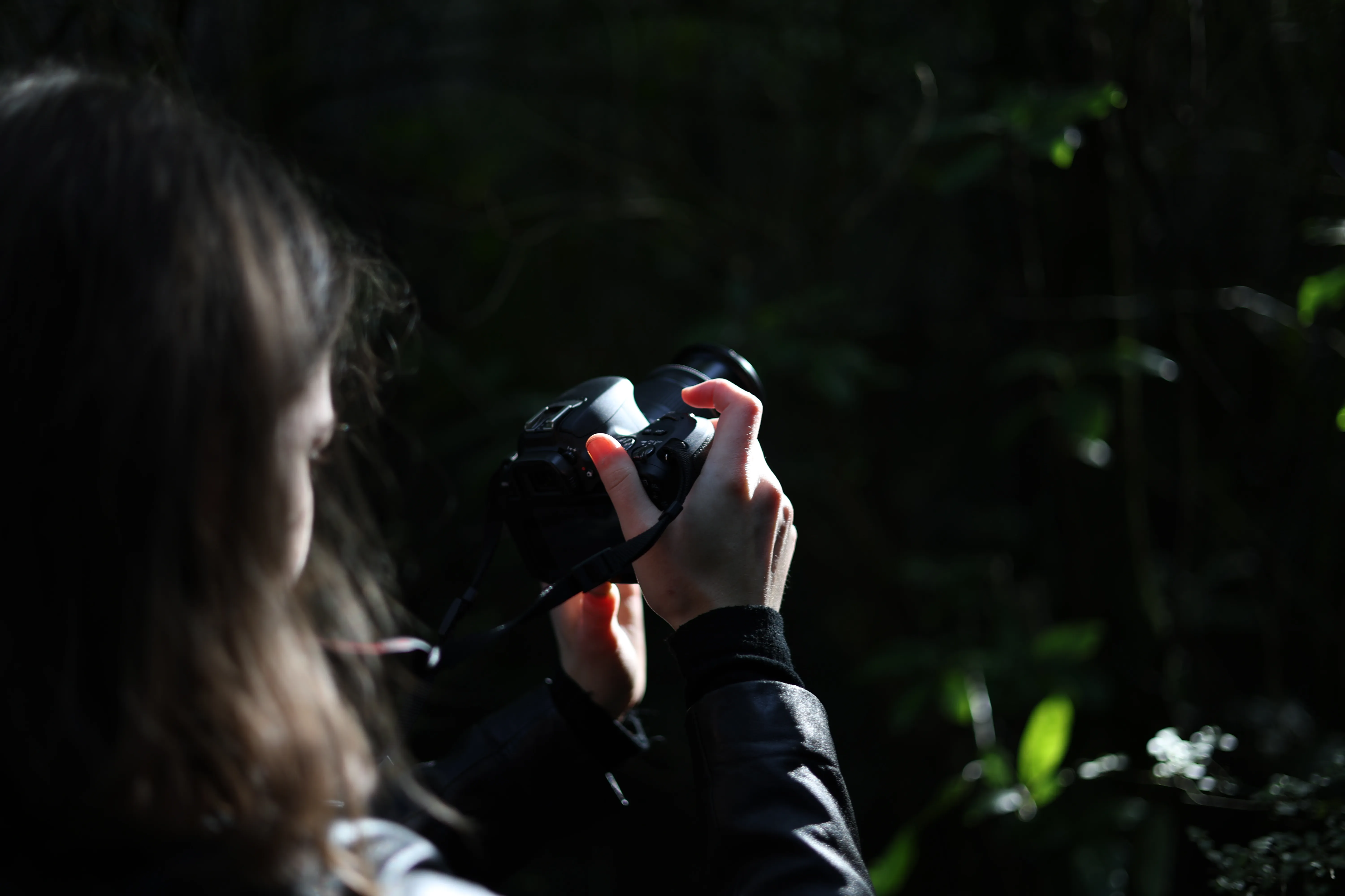 Norma holds her camera in a patch of sunlight while photographing the forest
